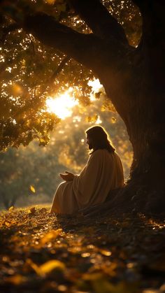 jesus sitting under a tree in the sunlight