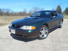 a black mustang parked in a parking lot