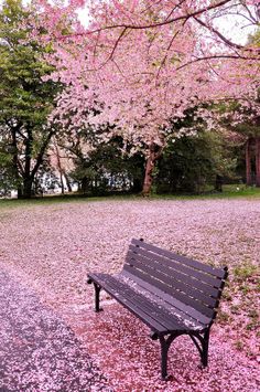 a bench sitting in the middle of a park with pink flowers on it's ground