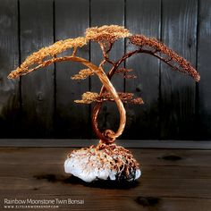 a bonsai tree is shown on top of a rock