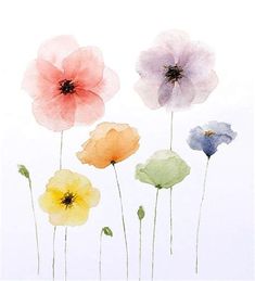 four watercolor flowers on a white background