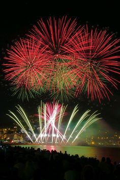 fireworks are lit up in the night sky over water and city lights, while people watch