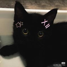 a black cat with pink crosses on it's forehead laying down in a sink