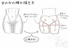 Girl Figure Drawing, Female Anatomy Reference, Drawing Female Body, Girl Figure, Body Drawing Tutorial, Human Anatomy Drawing, Manga Drawing Tutorials, 얼굴 그리기, Anatomy Sketches