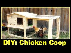 two chickens in a chicken coop next to a fenced in area with a bird house