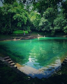 people are standing in the water near steps leading up to an area with green trees