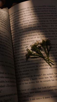 an open book with a flower on it and the pages turned upside down in sunlight