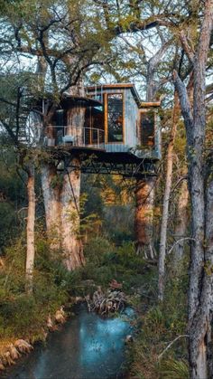 a tree house in the middle of a forest with a river running through it and trees surrounding