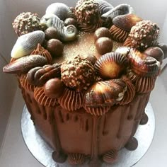 a chocolate cake with sea shells on top