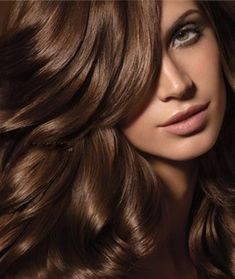 Chestnut Hair Color, Medium Brown Hair, Chocolate Hair, Hair Shades, Rose Hair, Summer Hair Color, Hair Color Dark