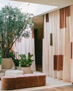 a living room filled with furniture and a tree