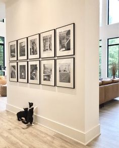 a black cat sitting on the floor in front of a wall with pictures hanging on it