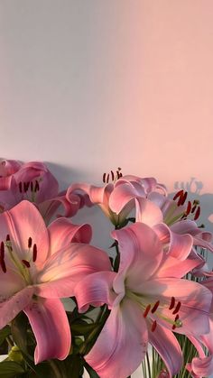 pink lilies are in a vase on a white tablecloth with shadow from the wall behind them