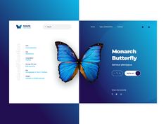 the monarch butterfly landing page is shown in blue and purple tones, with an image of a