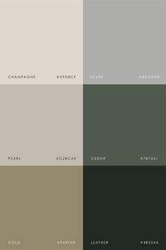 the different shades of gray, brown and black are shown in this color palettes