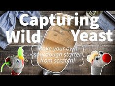 an advertisement for the wild yeast company on a wooden table with stuffed animals and other items