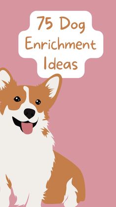 a brown and white dog sitting on top of a pink background with the words 75 dog enrichment ideas above it