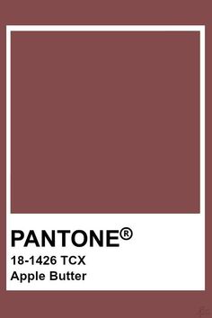 Pantone Colors Brown, Pantone Aesthetic Color Palettes, Pantone Brown, Flat Color Palette