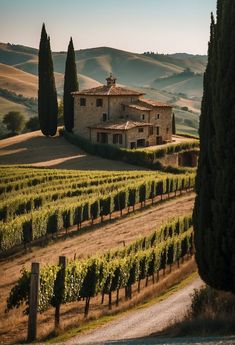 336848 Most Beautiful Places In Italy, Tuscany Travel Guide, Italy Vision Board, Tuscan Aesthetic, Tuscany Honeymoon, Winery Italy, Mediterranean Cities