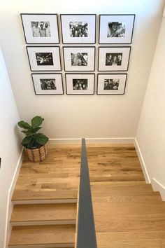 stairs leading up to pictures on the wall and potted plant next to them in front of it