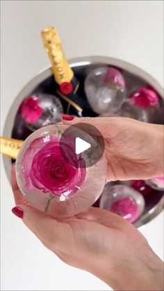 a hand holding a pink rose in a glass vase with other decorations around it and a ruler on the wall behind it