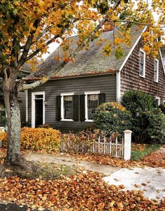 a gray house surrounded by trees and leaves