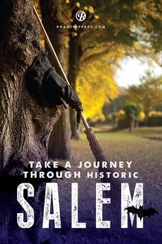 a book cover with an image of a broom stuck in a tree trunk and the title take a journey through historic salem