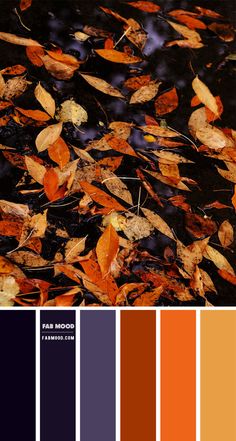 an image of autumn leaves in the water with color swatches to match it's palette