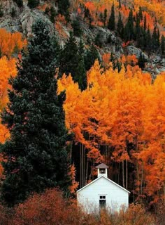 a small white house sitting in the middle of trees with orange leaves on it's branches