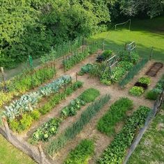 an aerial view of a vegetable garden