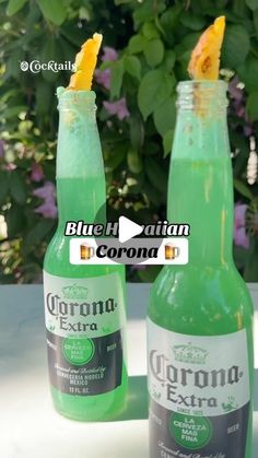 two bottles of corona extra beer sitting on a table