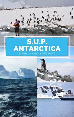 the cover of sup, antarctica stand up paddle boarding