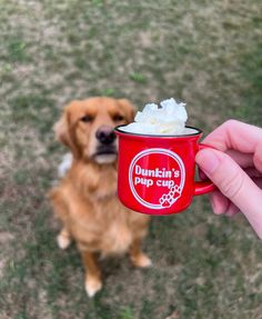 a person holding a red coffee cup with whipped cream in it and a brown dog standing behind