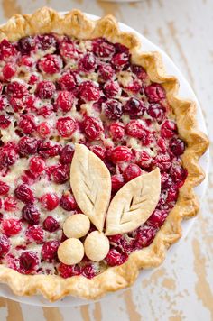 a cranberry pie on a white plate