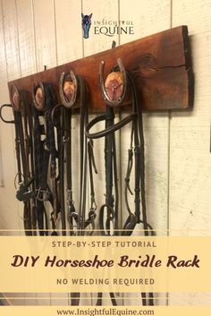 horse bridle rack mounted to the side of a wall