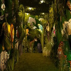 an image of the inside of a jungle with animals and plants on it's walls