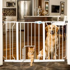 a dog and cat are sitting in front of a gate that is open to the kitchen