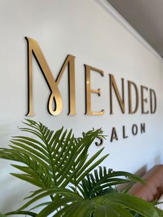 a plant is in front of the mended salon sign