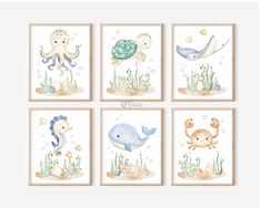 four pictures of sea animals and marine creatures in watercolor on white paper with brown frame