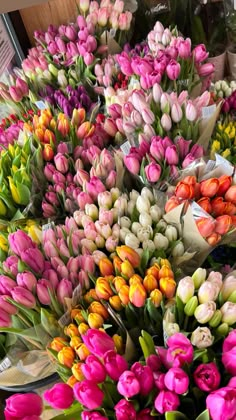 many different colored tulips on display in a flower shop with other flowers behind them