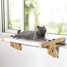 a gray cat laying on top of a wooden shelf next to a window sill