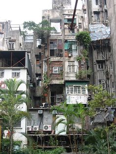 an old building with lots of balconies and plants growing on the side of it