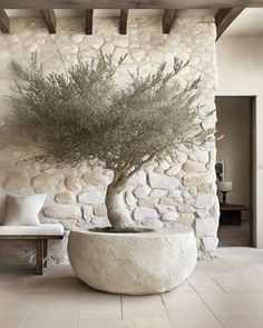 a large potted plant sitting in front of a stone wall