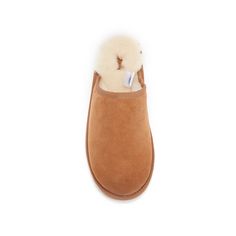 Luxe classic sheepskin mule slipper on an ultra low sole. Soft shearling cuff and inner. Suede finish. Classic Slippers With Sheepskin And Suede Lining, Classic Winter Slippers With Suede Lining, Classic Closed Toe Winter Slippers, Classic Winter Slippers With Rubber Sole, Classic Sheepskin Slippers For Winter, Classic Shearling Slippers For Winter, Classic Sheepskin Slippers With Suede Lining, Classic Sheepskin Slippers With Round Toe, Winter Shearling Slip-on Mules