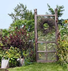 a garden area with various plants and flowers