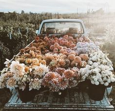 an old pick up truck filled with flowers