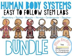 While youre studying the different body systems throughout the human body, you can use these labs to help build a more concrete understanding of their rolls. This packet includes a lab that you can do for students to learn about the respiratory, skeletal, muscular, nervous, cardiovascular, and digestive systems. Elementary Science Classroom, Stem Lab, Engineering Design Process, Product Promotion, Human Body Systems, Health Ideas, Stem Projects, Easy Science