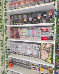 a book shelf filled with lots of books and anime figurines on top of it