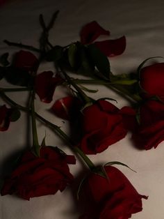 some red roses are laying on a white sheet and there is no image to describe