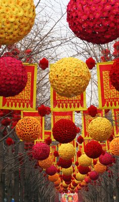 many red and yellow lanterns hanging from trees